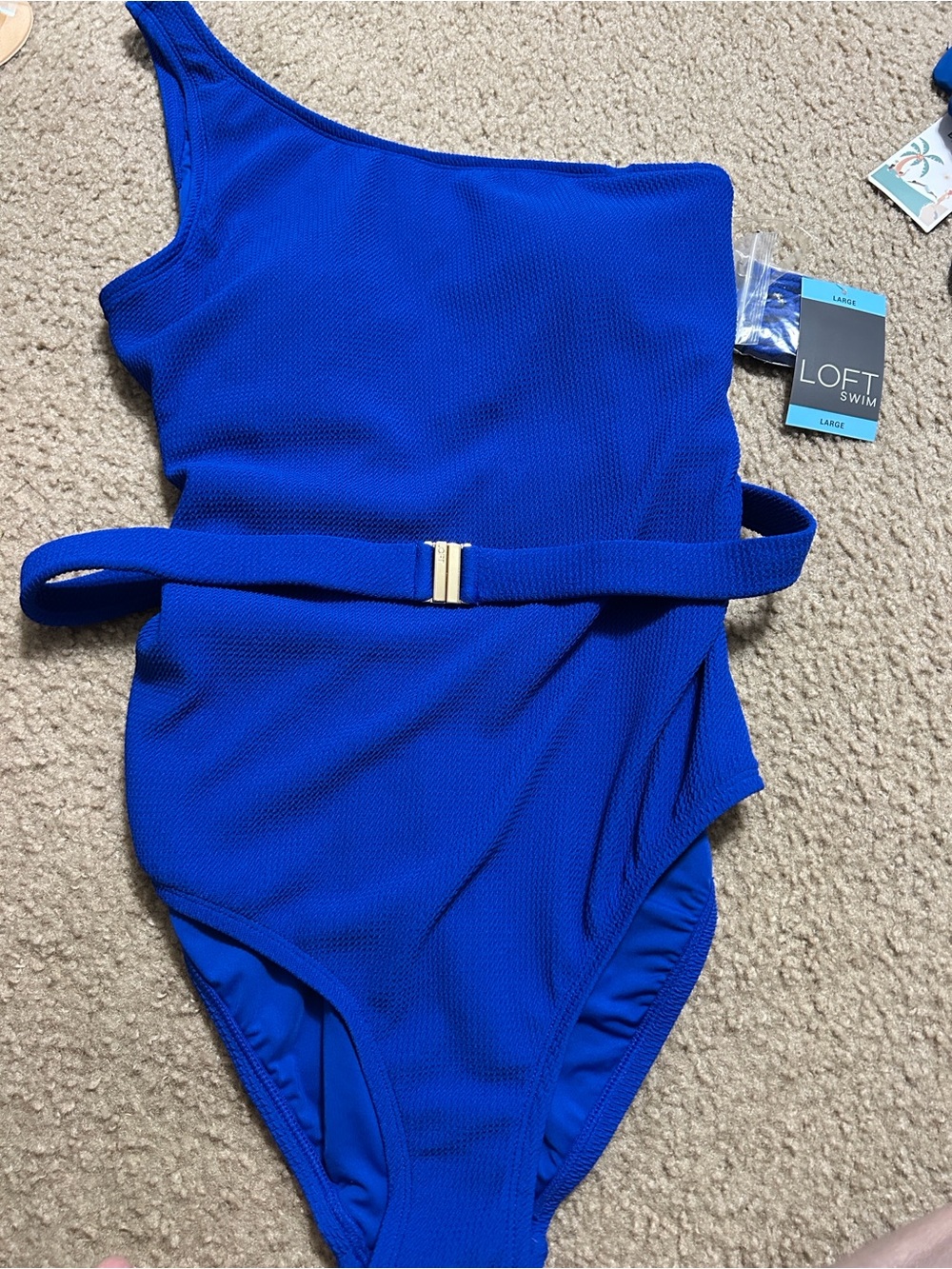 LOFT One-Shoulder One-Piece Swimsuit in Royal Blue with Belt